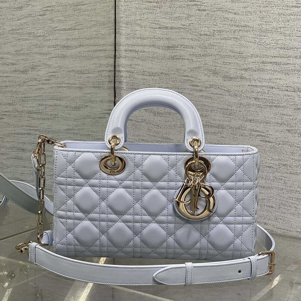 D10r Medium Lady D-Joy Bag(HIGH-END GRADE)